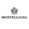 Montelliana Prosecco Spumante Extra Dry Treviso DOC - Zdjęcie 3