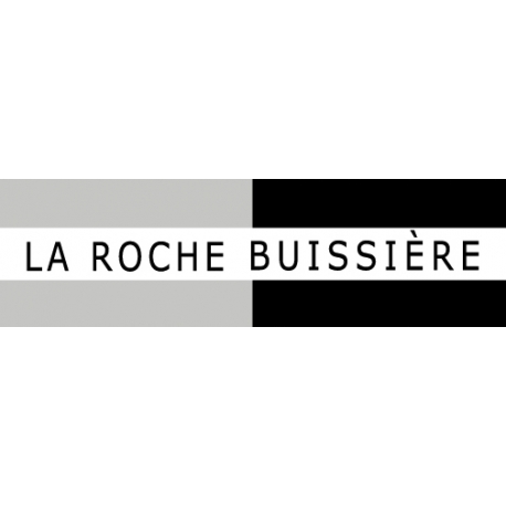 La Roche Buissi猫re